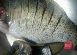 孔雀开屏的做法图解3