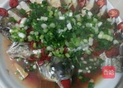 孔雀开屏的做法图解7