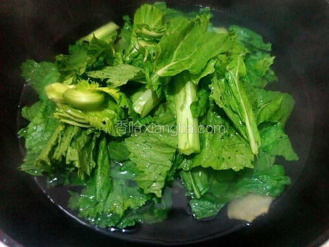 放芥菜煮5-10分钟