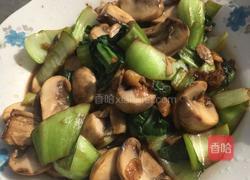 油菜炒口蘑的做法图解4