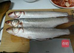 酱焖冷水梭鱼的做法图解1