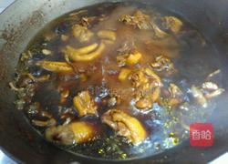 小鸡炖蘑菇的做法图解6