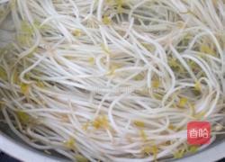 凉拌豆芽的做法图解2