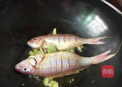 酱油金线鱼的做法图解4