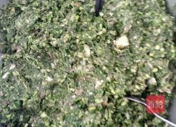 茴香馅饺子的做法图解5