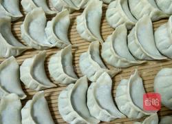 茴香馅饺子的做法图解7