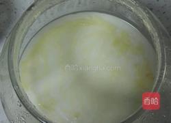 自制酸奶(奶粉)的做法图解4