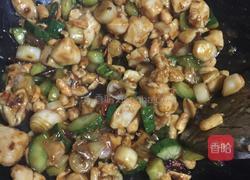 宫保鸡丁的做法图解4