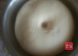 香菇豆沙包的做法图解7