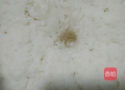 懒龙的做法图解1