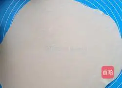 Illustration of home-style scallion pancakes 8