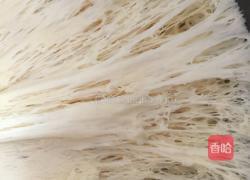 蒸营养馒头的做法图解7