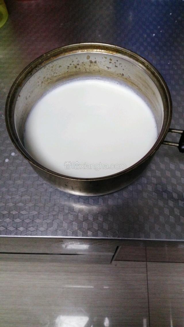 纯牛奶加白砂糖在锅中煮至起小气泡关火