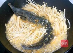 金针菇烧鲟鱼的做法图解7