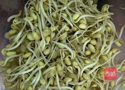 豆芽粉丝的做法图解1