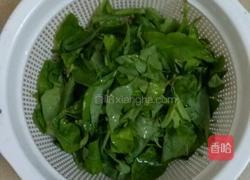 枸杞叶瘦肉汤的做法图解2