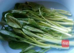 白灼菜心的做法图解1