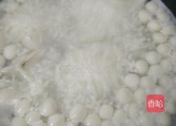 酒酿丸子的做法图解3