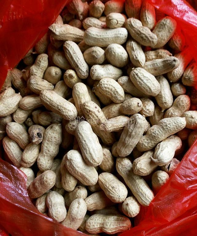 红皮生花生一袋，吃多少炒多少，也可以多炒点密封保存随时可以吃。