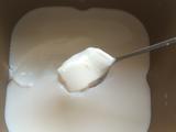 面包机自制酸奶的做法[图]