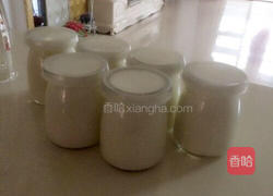 面包机自制酸奶的做法图解4