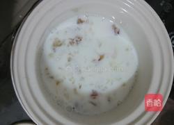 冰糖牛奶炖桃胶的做法图解4