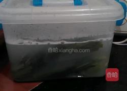 酸菜的做法图解9