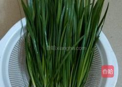 素炒韭菜的做法图解1