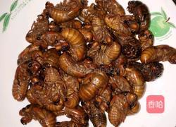 油炸金蝉的做法图解1