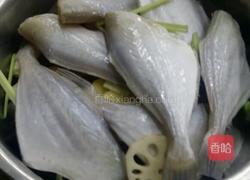 凉拌耗儿鱼的做法图解1