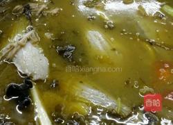 凉拌耗儿鱼的做法图解2