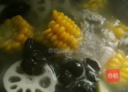 玉米子排汤的做法图解7