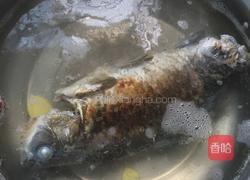 萝卜丝鲫鱼汤的做法图解4