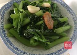 生炒菜心的做法图解6