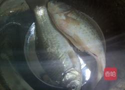 鲫鱼养颜汤的做法图解1