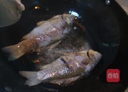 鲫鱼养颜汤的做法图解5