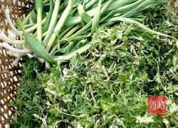 蒿子粑粑的做法图解1