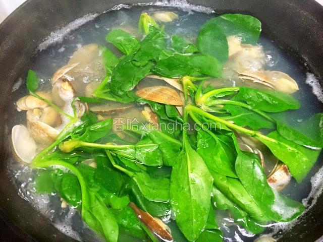 炖蛤汤。另起锅烧水，水开后放入花蛤，加入料酒、白胡椒粉、生姜、少许盐。大火炖煮约八分钟。在临起锅时加入小菠菜。