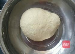 山苜楂发面包子的做法图解3