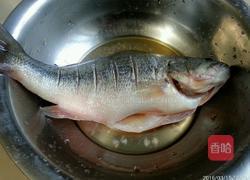 清蒸鲈鱼的做法图解3