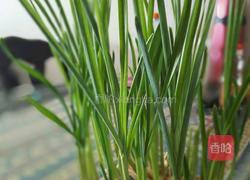 清蒸排骨的做法图解13