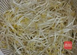 豆芽焖豆腐的做法图解1
