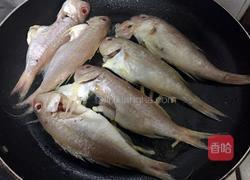 酱煎红杉鱼的做法图解4