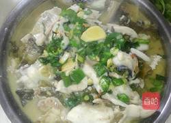 酸菜鱼的做法图解5
