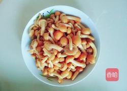 鸡肉炒滑子蘑的做法图解4