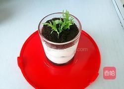 酸奶盆栽的做法图解10
