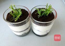 酸奶盆栽的做法图解9