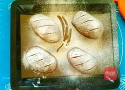 手工烫种可可麻糬软欧的做法图解37