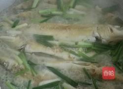 煎焖沙丁鱼的做法图解6