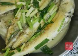煎焖沙丁鱼的做法图解7